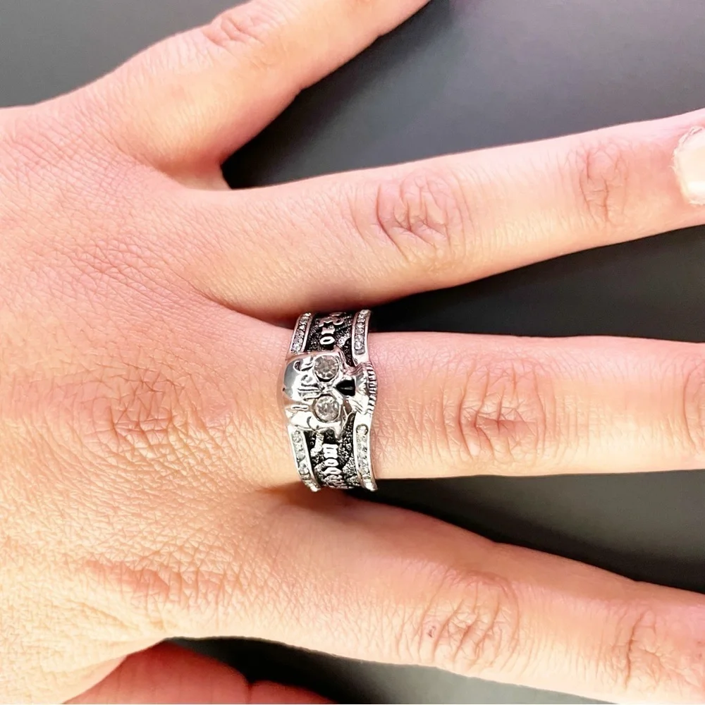 925 Sterling Silver Men's Skull Ring​ | Grunge Liberation Ring Size 11, 12, 13